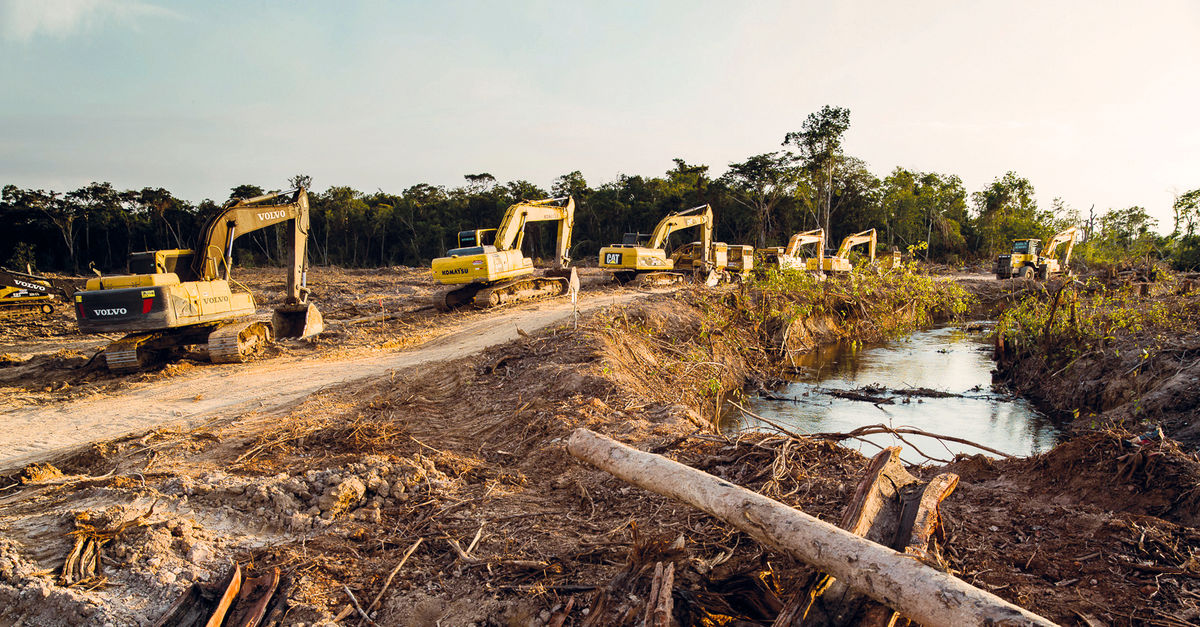 Carretera en Perú pone en peligro 100 000 hectáreas de selva Salva la