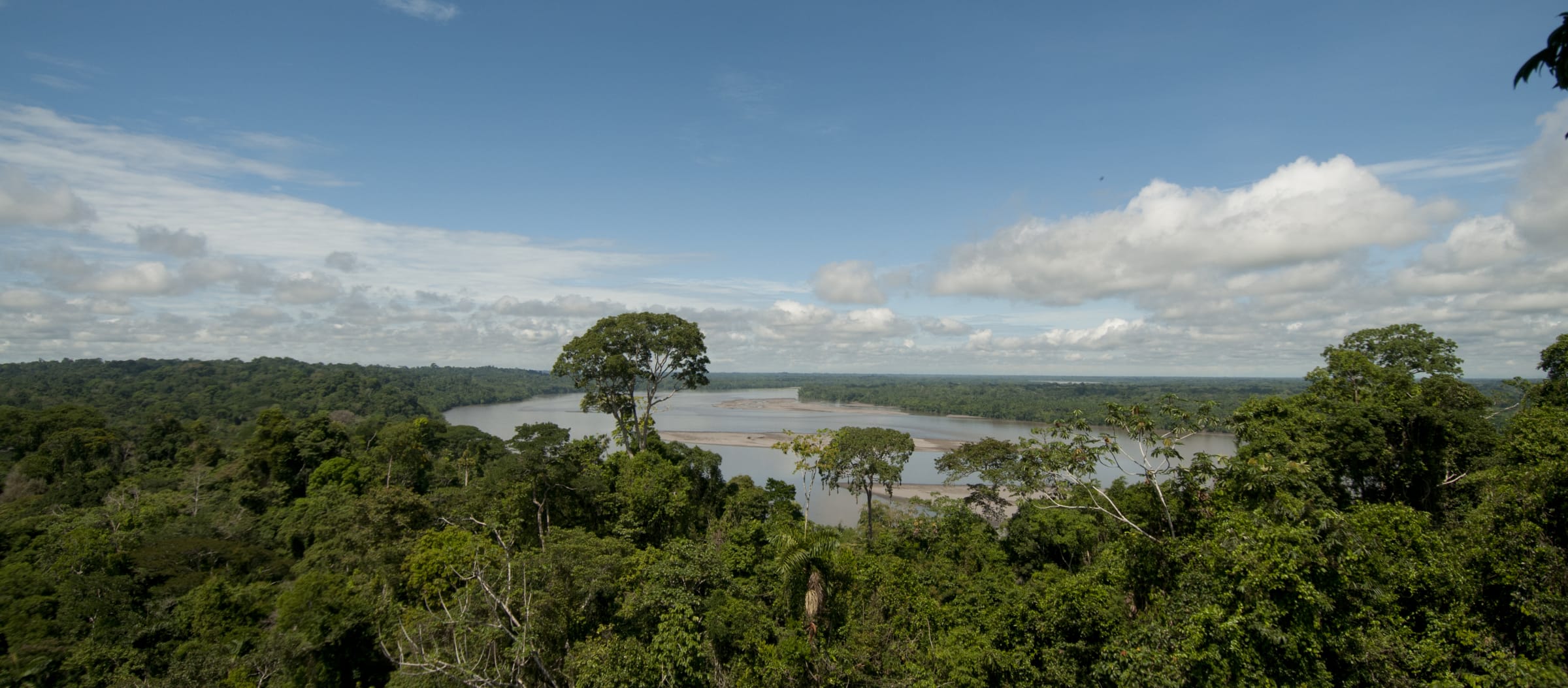 Yasun Salva La Selva