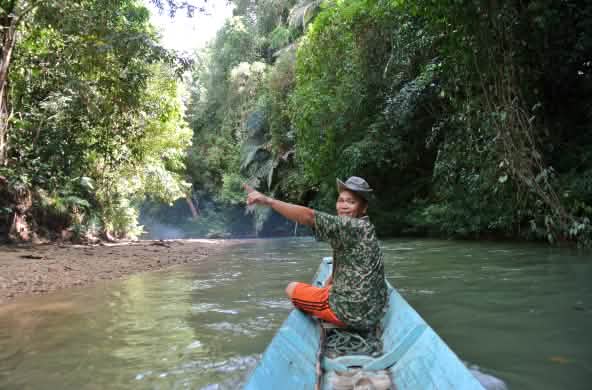 Un hombre señala la selva tropical en Sarawak, Borneo, desde un bote