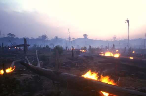 Incendio en Brasil