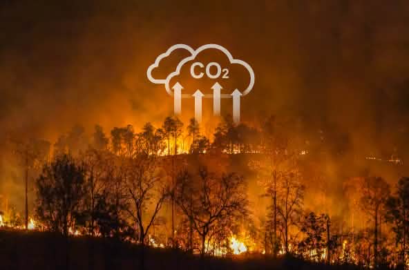 Incendio forestal con un gráfico superpuesto que indica el desprendimiento de CO2