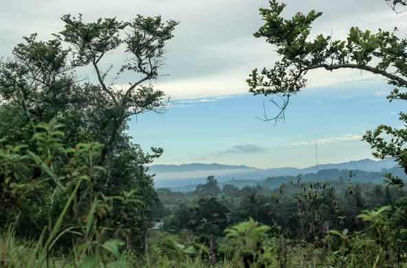 Vista general de la reserva Natural de Morowali