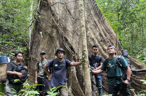 Cinco hombres al pie de un árbol gigante
