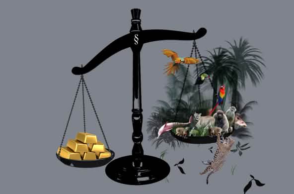 Balanza en la que se sopesa el oro frente a la selva, la cual sale perdiendo