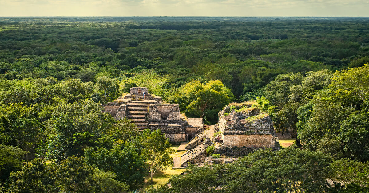 Entrega De Firmas De La Petición Contra El Tren Maya En México - Salva ...