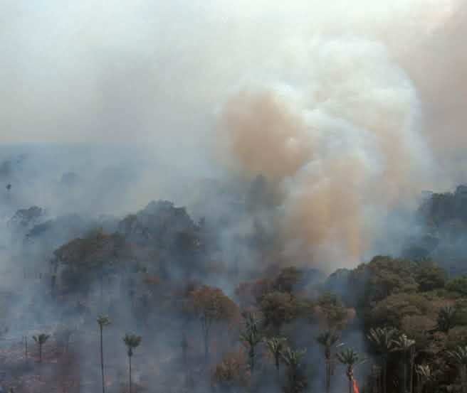 Vista aérea de la selva amazónica en llamas