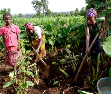 Produciendo los propios alimentos en Virunga