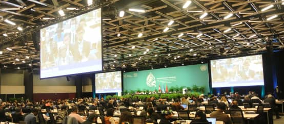 Salón de la plenaria en la COP15