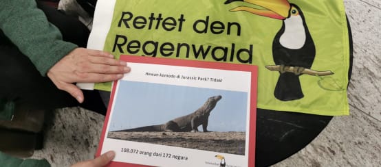 Salva la Selva/Rettet den Regenwald y petición en defensa del dragón de Komodo sobre la mesa