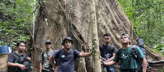 Cinco hombres al pie de un árbol gigante