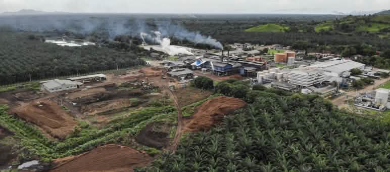 Planta procesadora de Corporación Dinant La planta procesadora propiedad de Corporación Dinant se mantiene activa