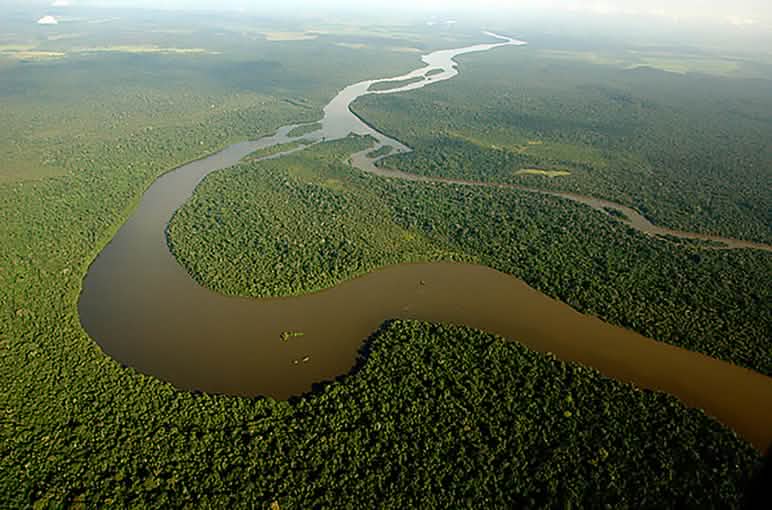 Semejantes paisajes son los que están en juego en Brasil El rey caza elefantes