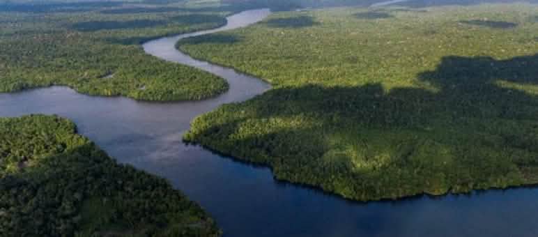 Hay más de 800 islas en el archipiélago de Aru Islas boscosas en medio del mar