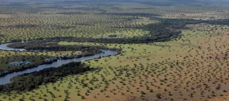El cerrado es la sabana de Brasil: no es un bosque, pero es igualmente importante para la protección de la biodiversidad, el clima y los pueblos indígenas. El cerrado de Brasil, vegetación y río, a vista de pájaro.