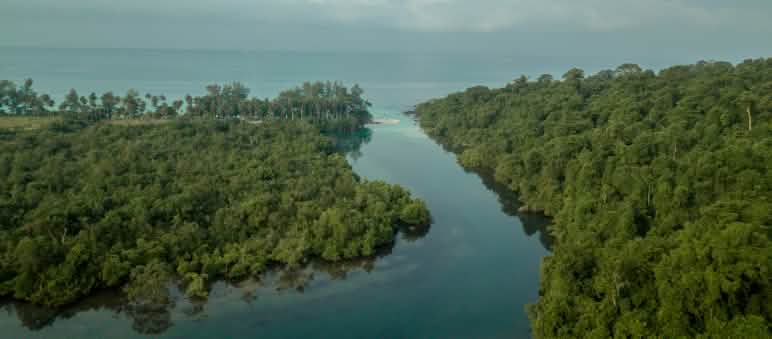 La isla de Koh Kong se abrirá al turismo de lujo y se "desarrollará" con plantaciones. Vista de la isla de Koh Kong, Camboya