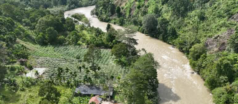 Un vivero de árboles - fruto de nuestro proyecto -  a la orilla de un río en el ecosistema de Leuser Una foto tomada con un dron que muestra un vivero de árboles y un bosque junto al río