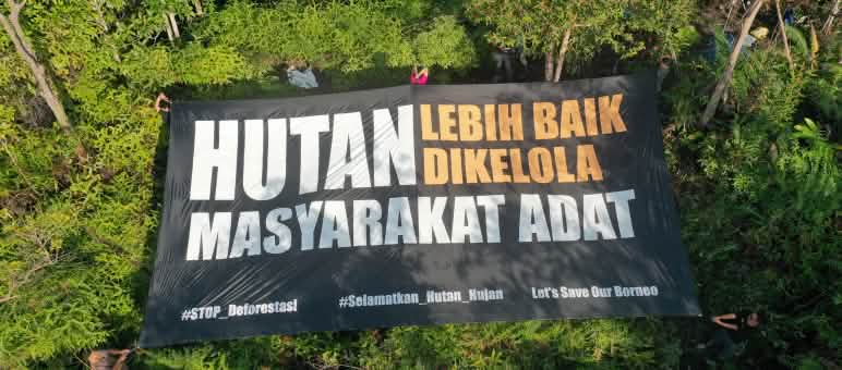 Pancarta gigante sobre el dosel de la selva Gran pancarta con el mensaje "Indígenas, los mejores defensores de la selva", en idioma bahasa Indonesia
