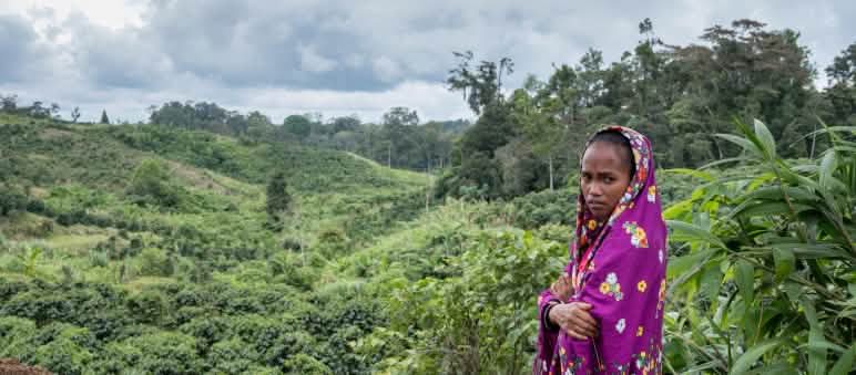 En diciembre de 2017, el padre y el esposo de Mirivic 'Tarsila' Danyan fueron asesinados por el ejército por defender tierras comunitarias contra la expansión de las plantaciones de café en Filipinas. Marivic ‘Tarsila’ Danyan frente a las plantaciones de café cerca de la comunidad de Tabasco en Filipinas en la que vive.