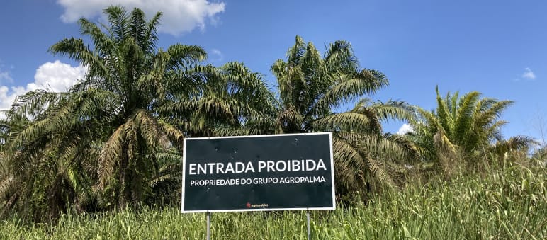 Cartel de la empresa de aceite de palma Agropalma en el límite de una plantación de palma aceitera, en la región amazónica, estado brasileño de Pará Delante de una plantación de palma aceitera, c artel de la empresa Agropalma, en el que se lee “Entrada prohibida. Propiedad del grupo Agropalma”