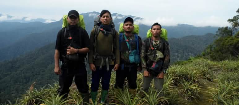 Los guardabosques a punto de arrancar las palmas de aceite ilegales. Después volverán a reforestar Equipo de guardabosques en Sumatra