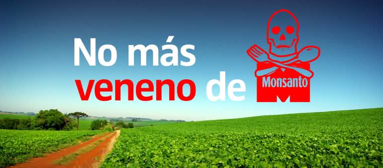 Sofía Gatica con la periodista Marie-Monique Robin (Foto: http://madresdeituzaingo-sofia.blogspot.com.es) No más veneno de Monsanto