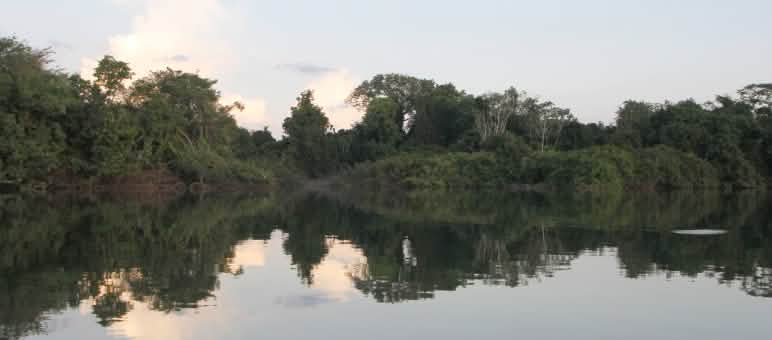 Vista del ecosistema en en Xingu, en la Amazonía de Brasil Río Xingu