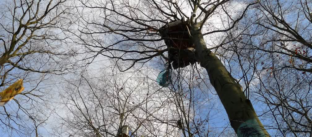 Casa del árbol en el bosque de Hambach, desmantelada por la policía alemana Casa del árbol en el bosque de Hambach