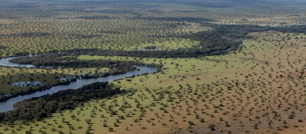 Vista aérea del ecosistema de Cerrado El cerrado de Brasil, vegetación y río, a vista de pájaro.