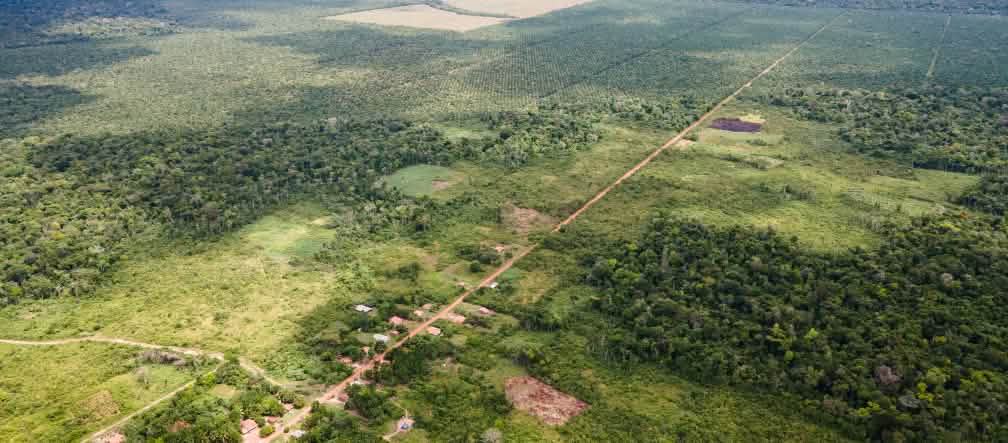 La pequeña comunidad de Gonçalves en la selva tropical está rodeada de plantaciones de palma aceitera de la empresa Agropalma. Vista aérea de una pequeña comunidad a lo largo de un camino recto y detrás las plantaciones de palma aceitera van avanzando y disminuyendo la selva tropical.