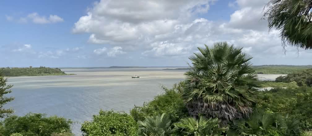 Vista de los manglares de la bahía de São Marcos y la isla de Cajual, al fondo Vista de una bahía con vegetación en primer plano y nubes blancas en el cielo