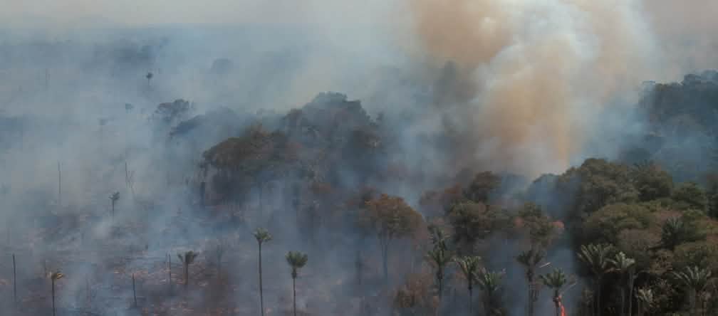 Los bosques arden en gran parte de Sudamérica mientras el agronegocio se expande con pastos para el ganado y monocultivos de soja Vista aérea de la selva amazónica en llamas