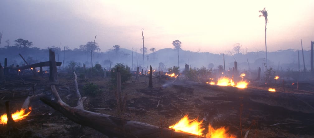 Incendio en Brasil