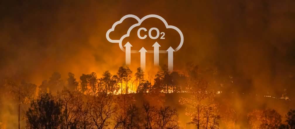 Los incendios y quemas forestales contribuyen a la catástrofe climática Incendio forestal con un gráfico superpuesto que indica el desprendimiento de CO2
