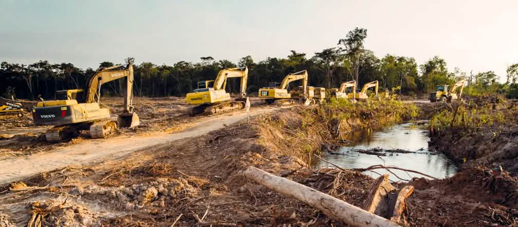 Carretera por la selva de Perú Maquinaria pesada para la construcción de una carretera en Perú
