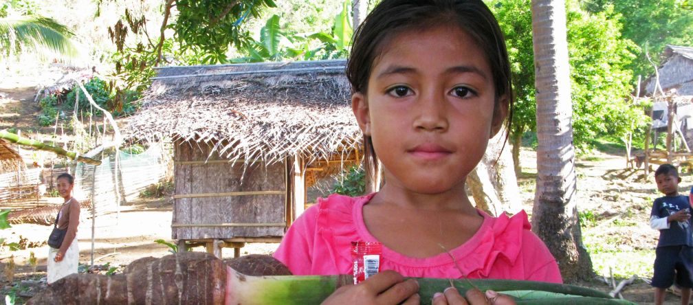 Familias indígenas Pala'wan cultivan tradicionalmente vegetales en sus huertos Niña Pala’wan en su comunidad con un taro, verdura local