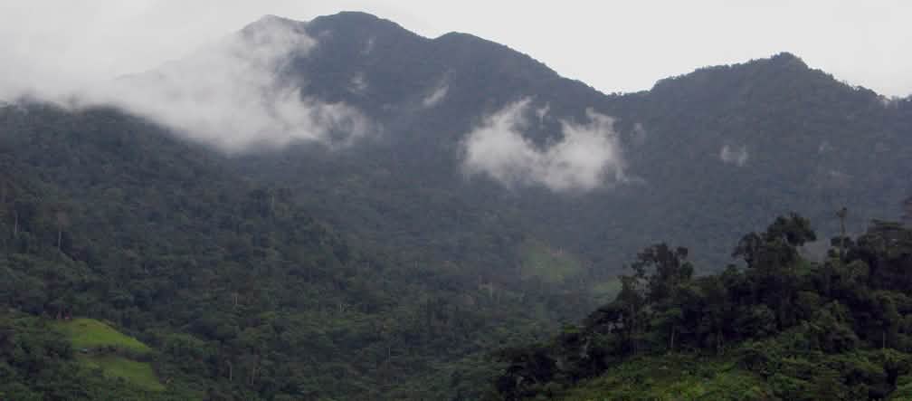 El exuberante paisaje de altura del municipio de Brooke's Point muestra áreas de bosque bien conservado intercaladas con áreas indígenas pantanosas protegidas de forma sostenible. El área está solicitada para su explotación minera por Macroasia Cor Paisaje montañoso en el que se pueden ver las cumbres cubiertas de densos bosques