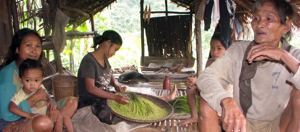 En las montañas de Brooke's Point y en otros lugares del sur de Palawan, las comunidades indígenas custodian una diversidad de cultivos increíblemente rica que incluye hasta 80 variedades locales de arroz de tierras altas Un hombre, tres mujeres y un niño pequeño sentados en una casa abierta. Una de las mujeres, con un canasto, pela el arroz
