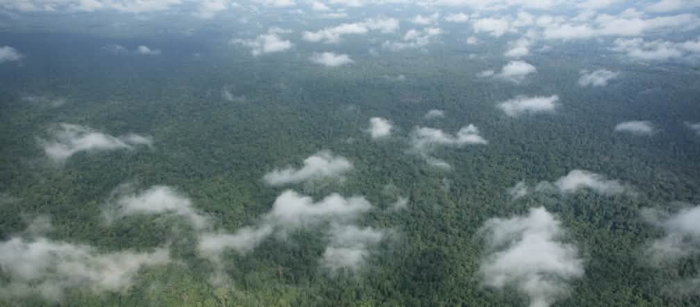 Oficialmente está protegido, en realidad, bajo amenaza: el bosque de Frey Lang en  Camboya Vista aérea con nubes sobre la densa selva tropical