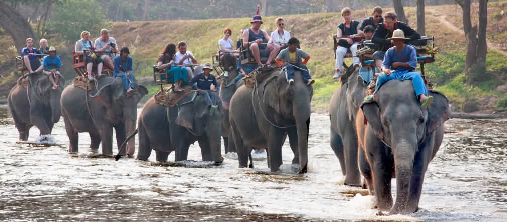 Turistas montando elefantes en Tailandia
