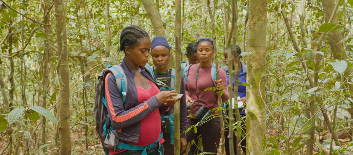 Ecoguardas en la selva tropical en Liberia