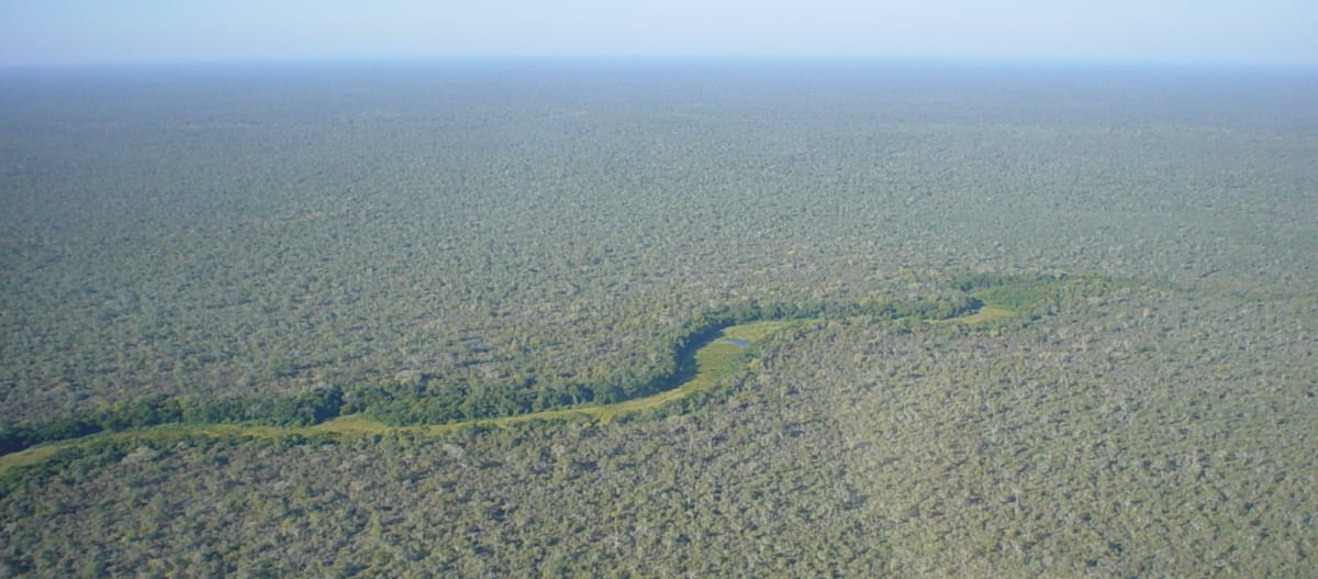Vista aérea del bosque del Chaco paraguayo