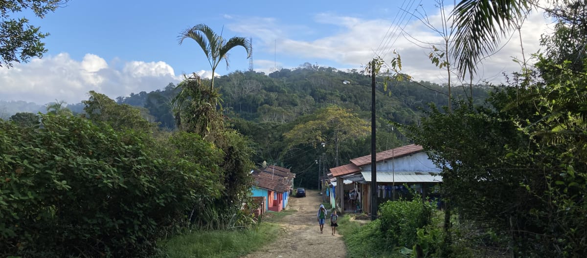 Casas del asentamiento Terra Vista, en Bahía. Al fondo se ve la selva