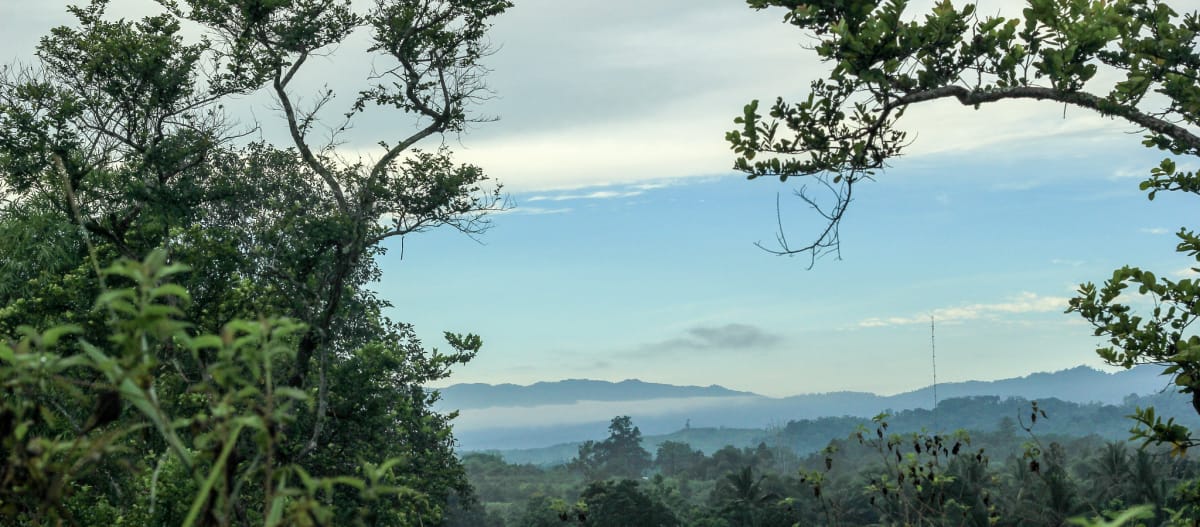 Vista general de la reserva Natural de Morowali