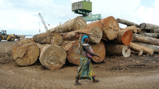 Troncos amontonados en el puerto de Kinshasa.