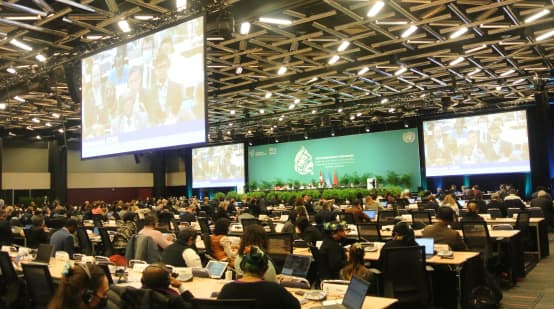 Salón de la plenaria en la COP15