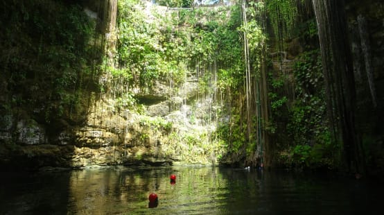 Cenote en México, rodeado de árboles. La construcción del Tren Maya amenaza muchos de estos cuerpos de agua subterráneos.