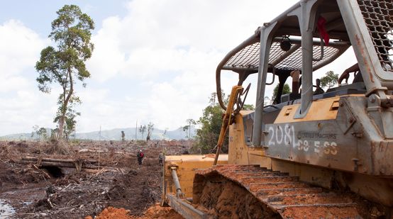 Excavadora en primer plano destruyendo la selva tropical