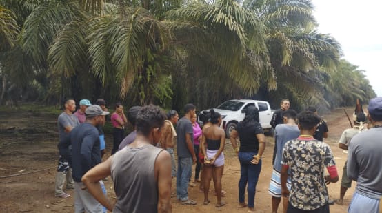 Más de 15 indígenas, mujeres y hombres, de pie y de espaldas en un camino cercado por plantaciones de palma aceitera. Hablan con los guardias de seguridad privada de la empresa Agropalma.