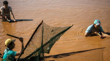 Tres personas pescan con redes tradicionales en el río Pilcomayo, en Paraguay