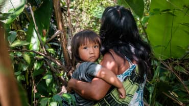 Mujer indígena ka'apor entre la vegetación de la selva amazónica con su hijo en brazos